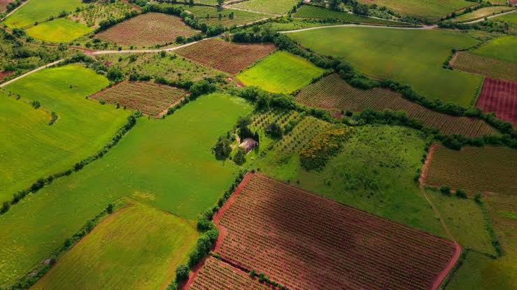 Arsa Yatırımcısının Yeni Rotası Belli Oldu