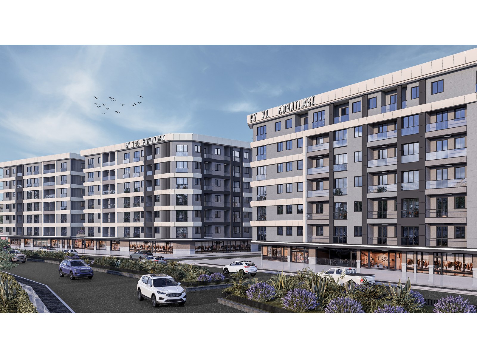 Project image 6