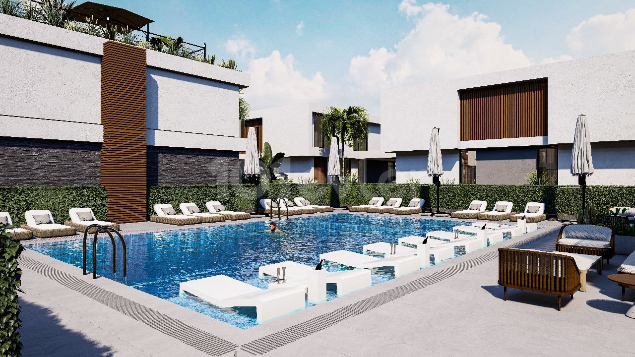 Project image 11