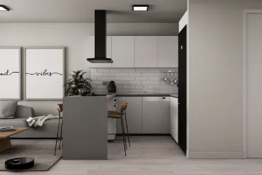 Project image 9