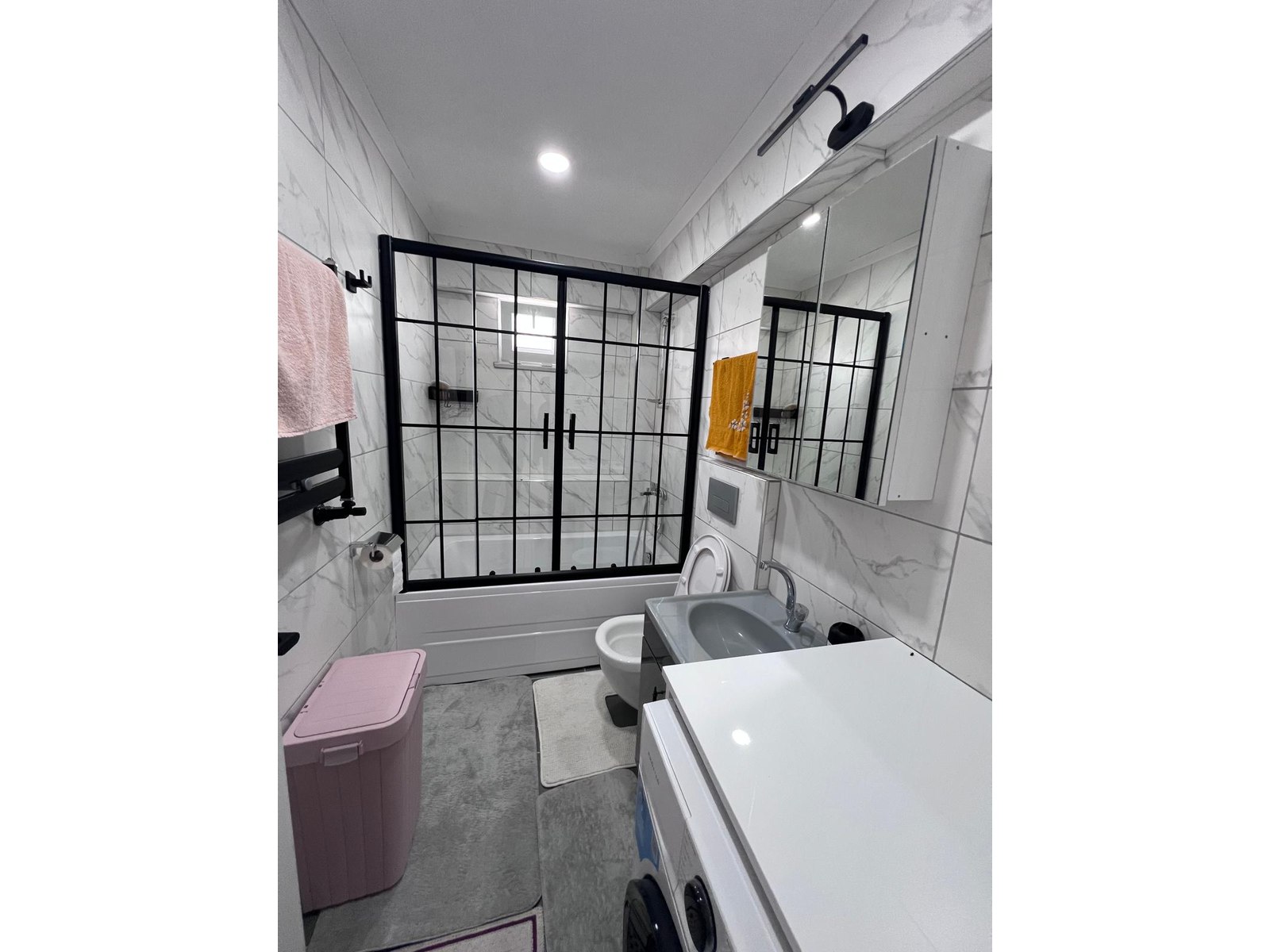Project image 10