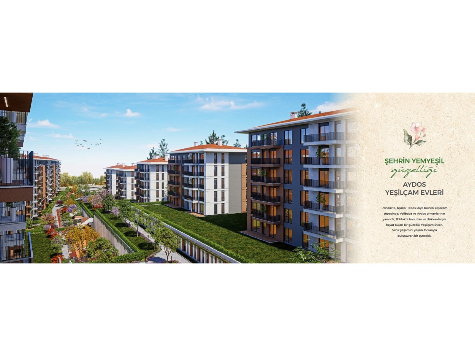 Project image 13