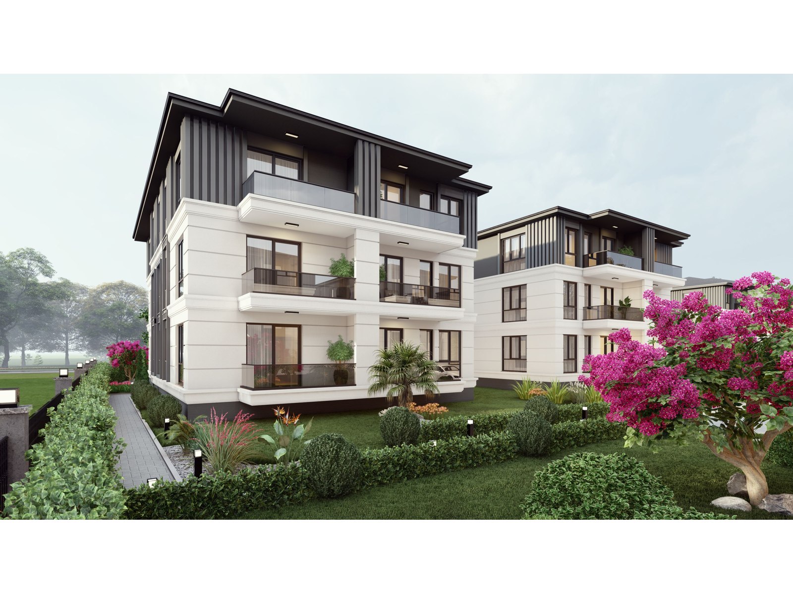 Project image 7