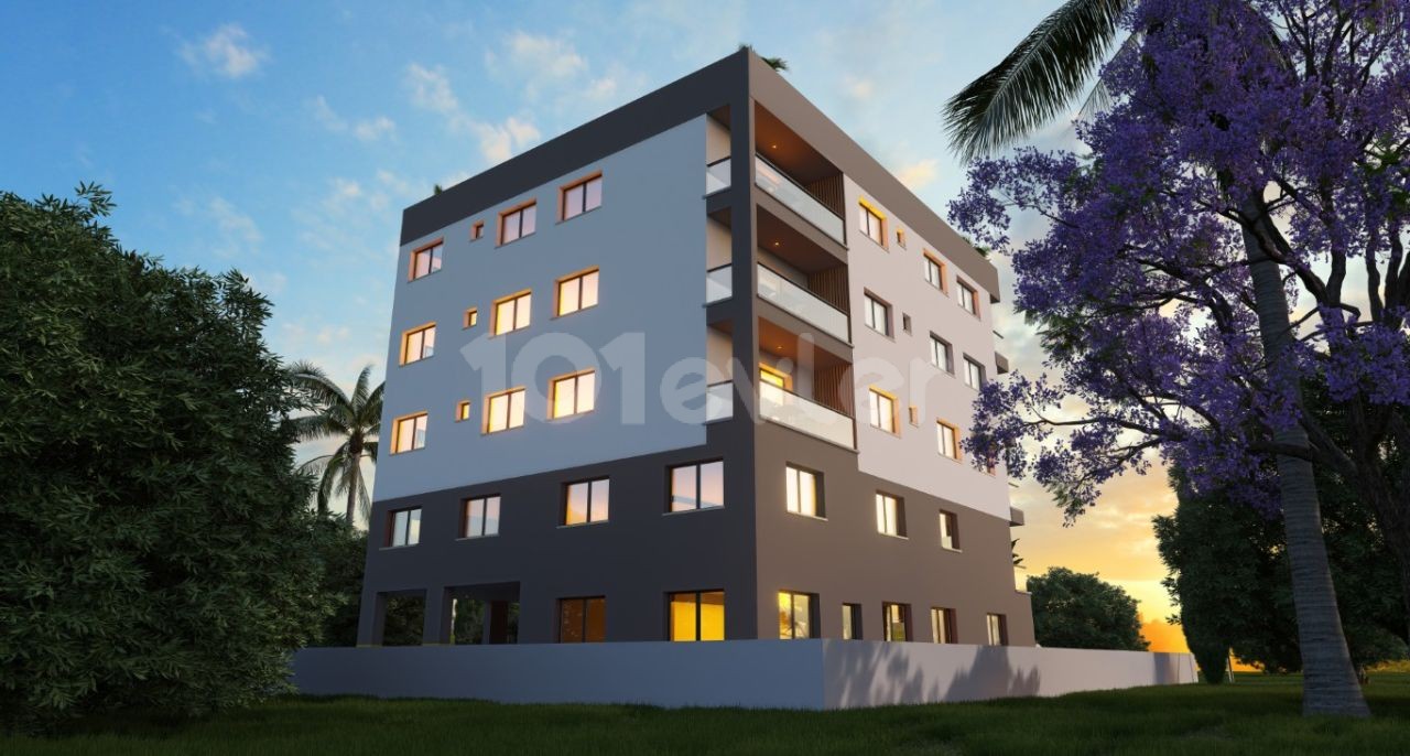 Project image 11