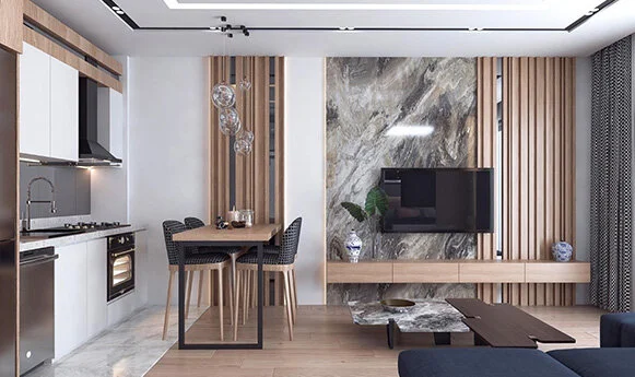 Project image 11