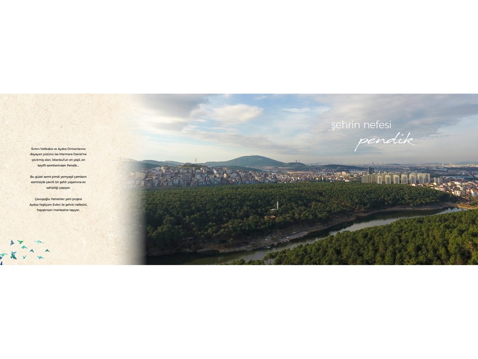 Project image 10