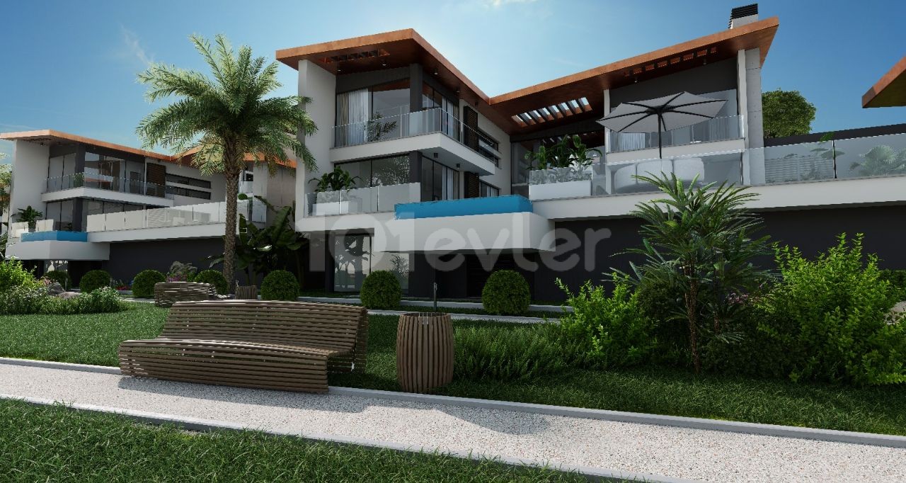 Zenith By Özyalçın