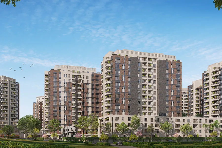 Project image 11