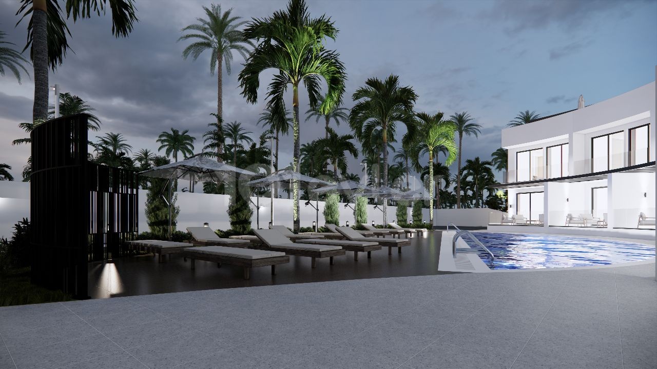 Project image 11