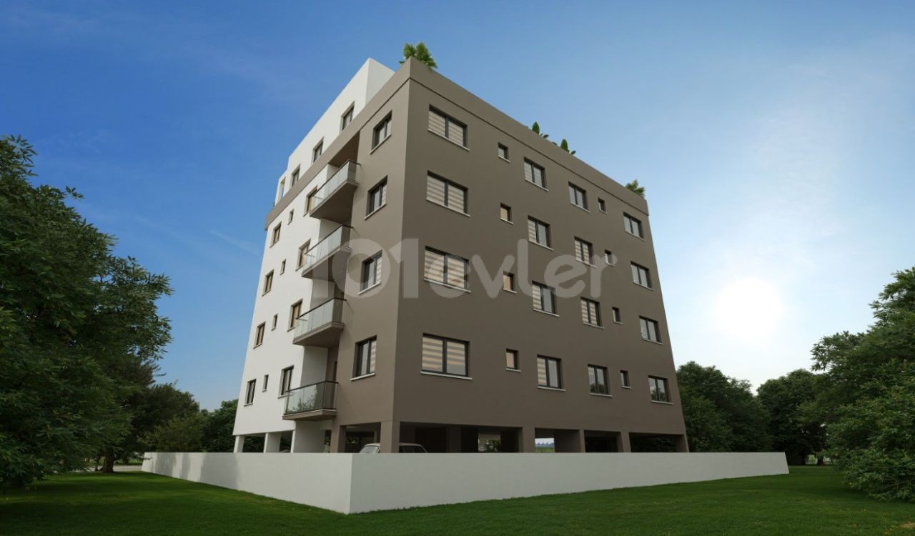 Project image 2