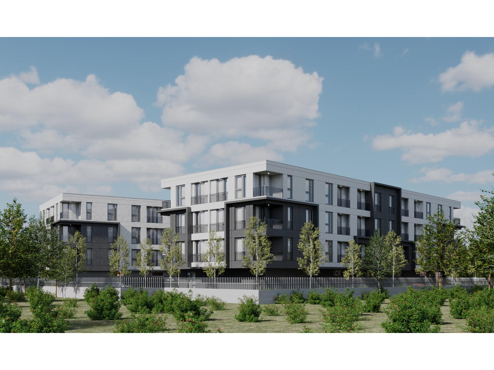 Project image 9