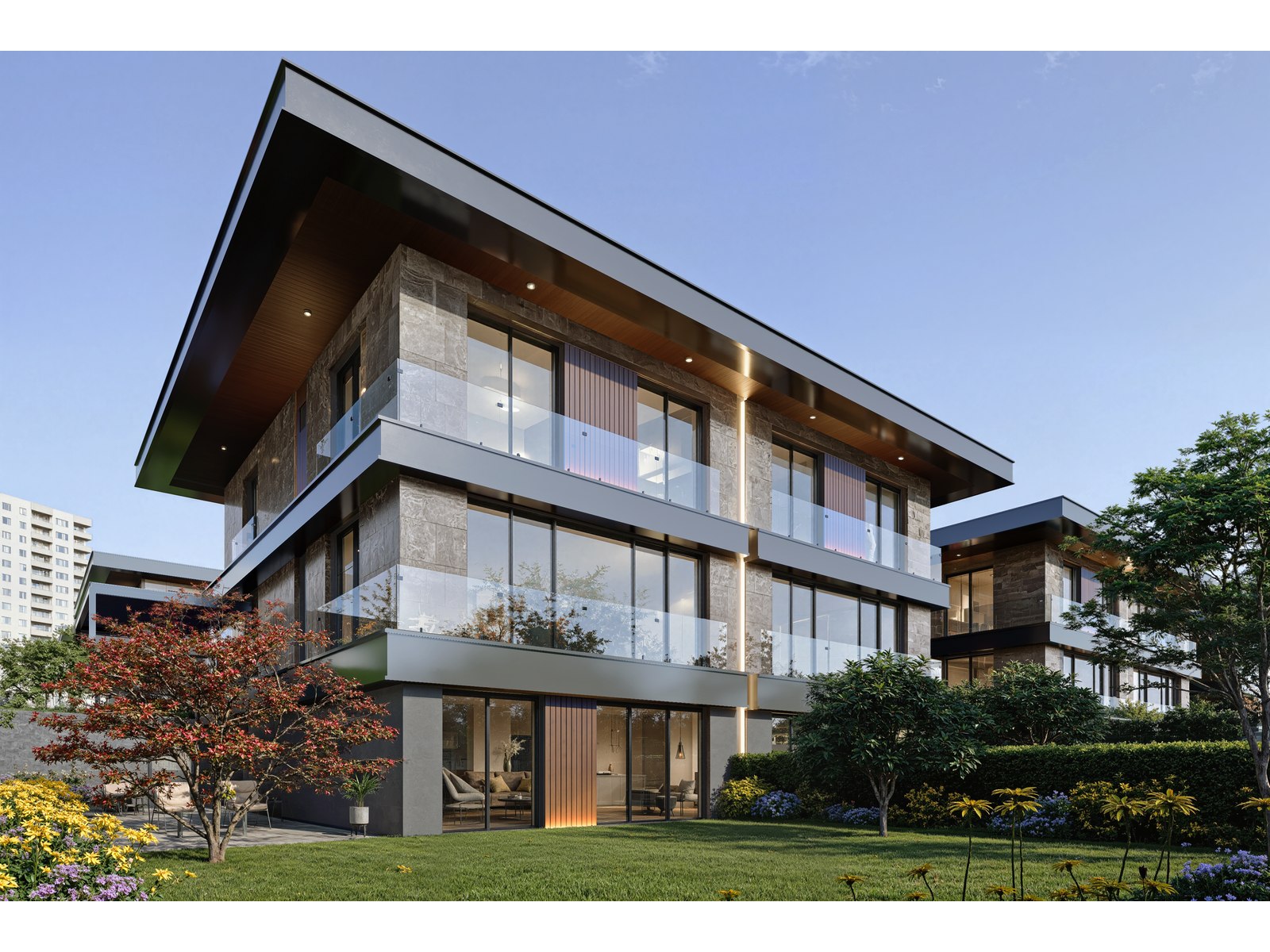 Project image 6