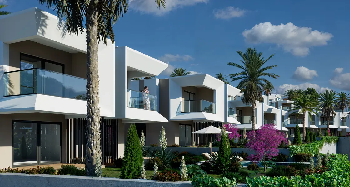 Project image 11