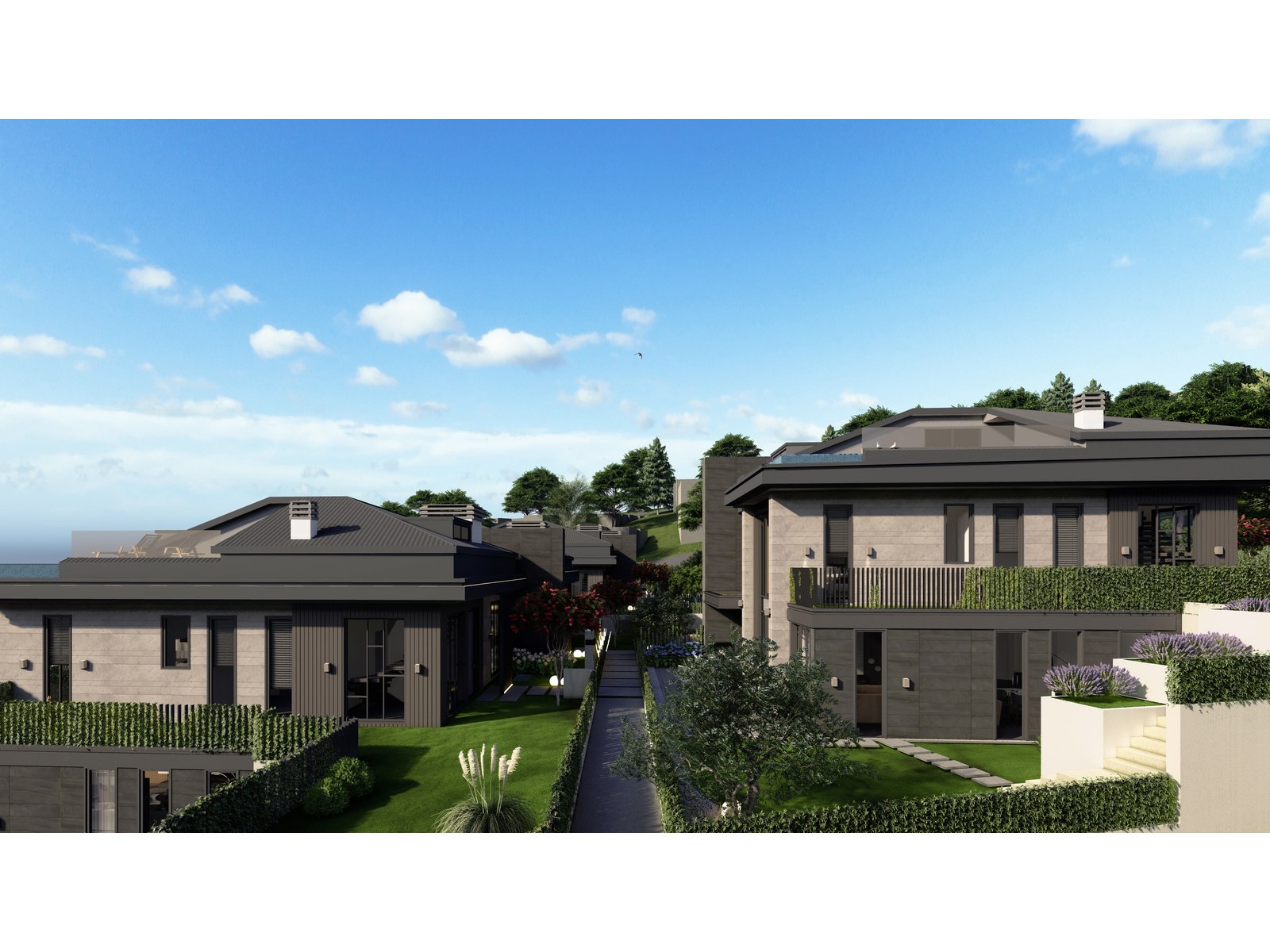 Project image 13