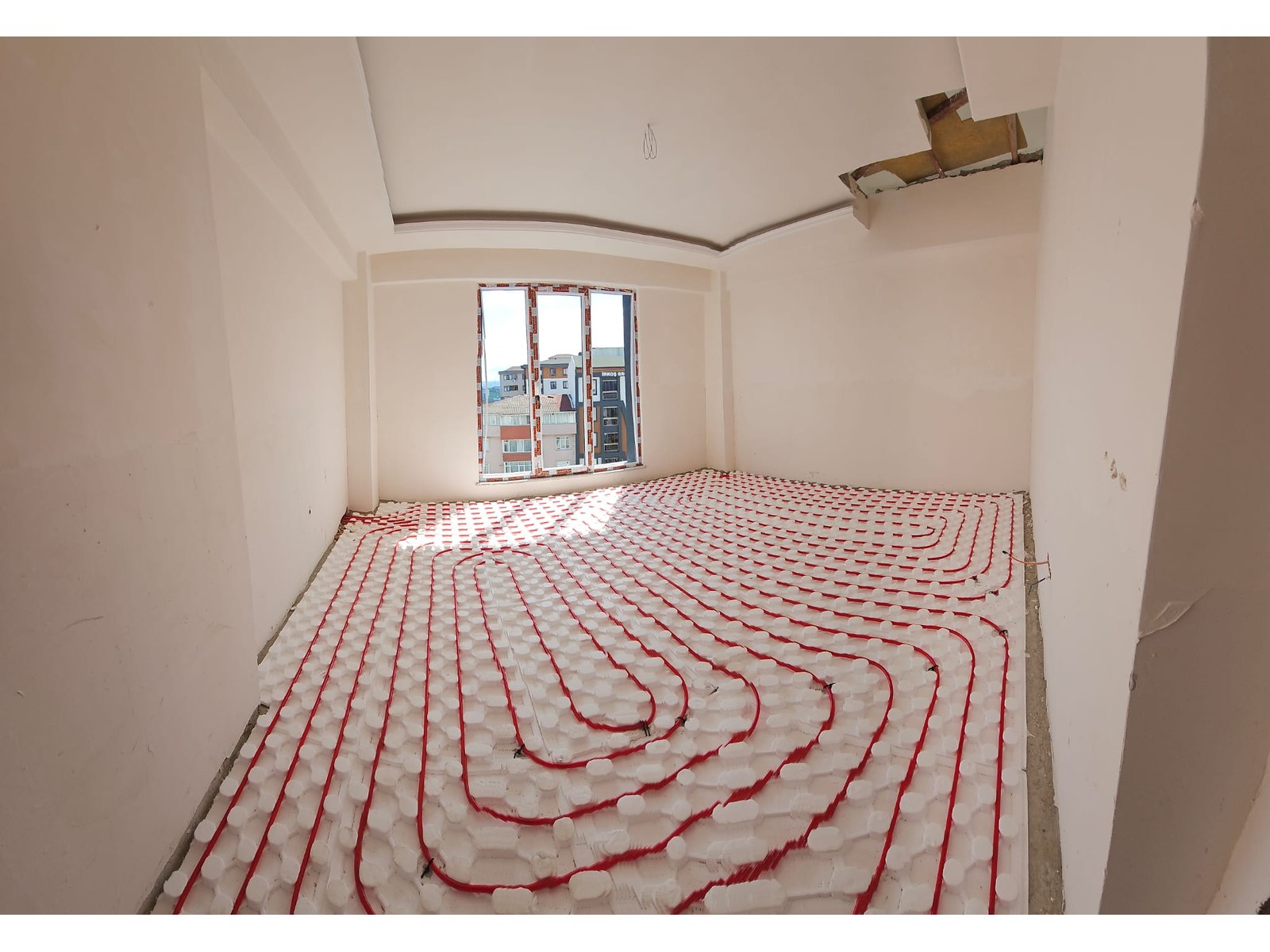 Project image 6