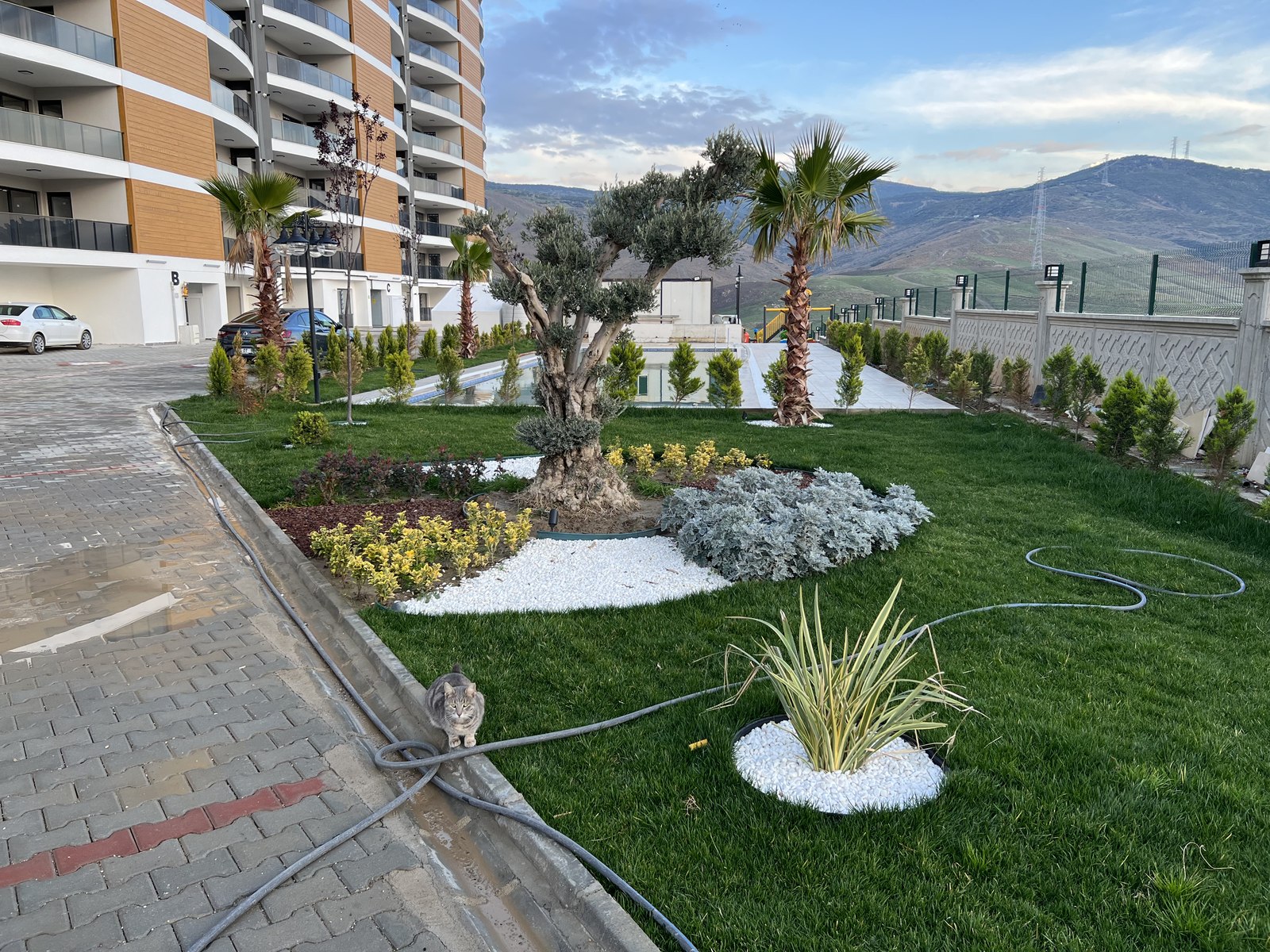 Project image 10