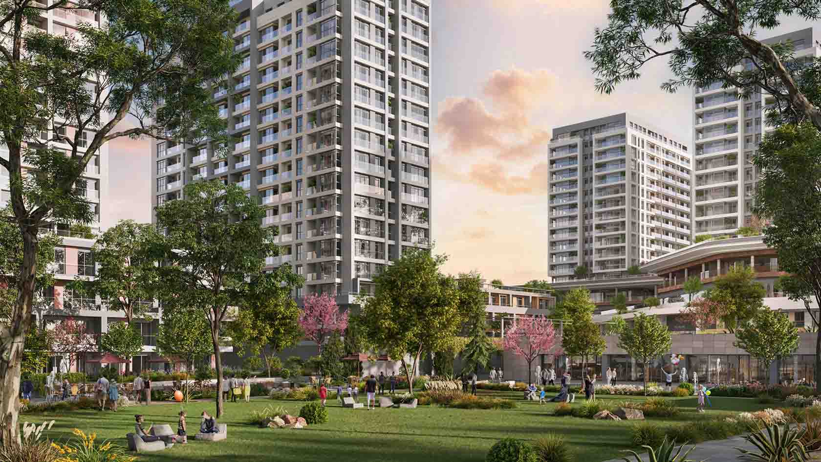 Project image 11