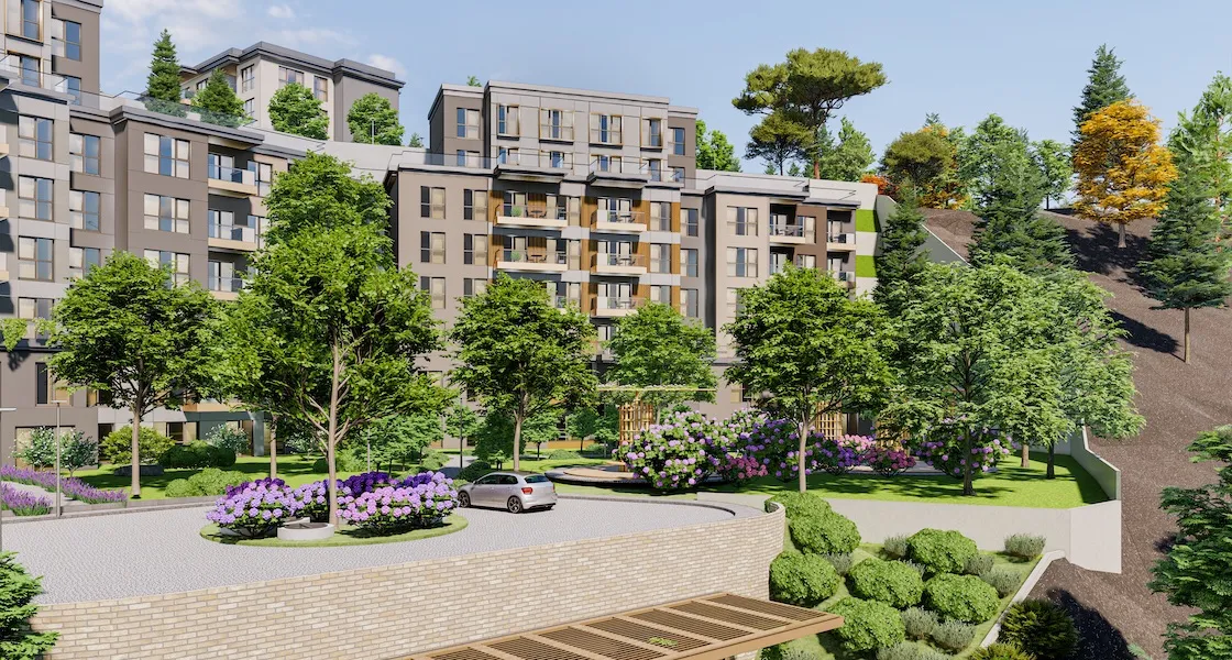Project image 10