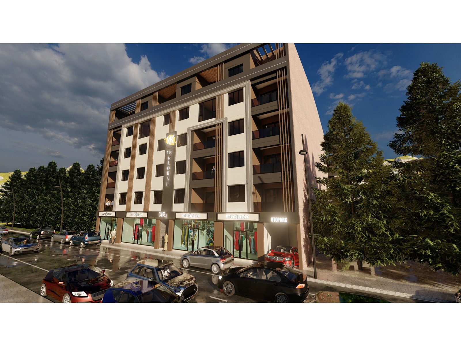 Project image 9