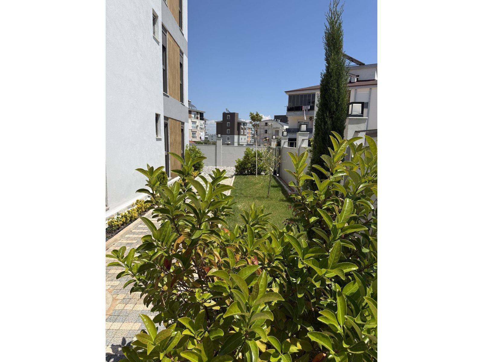 Project image 9
