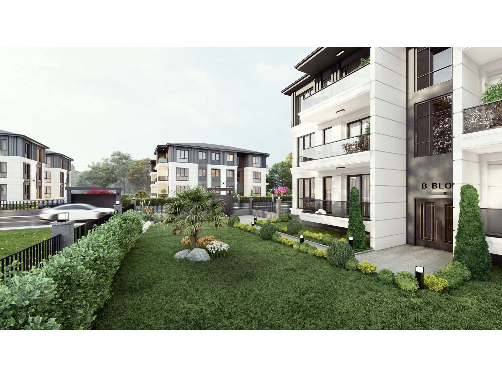 Project image 5