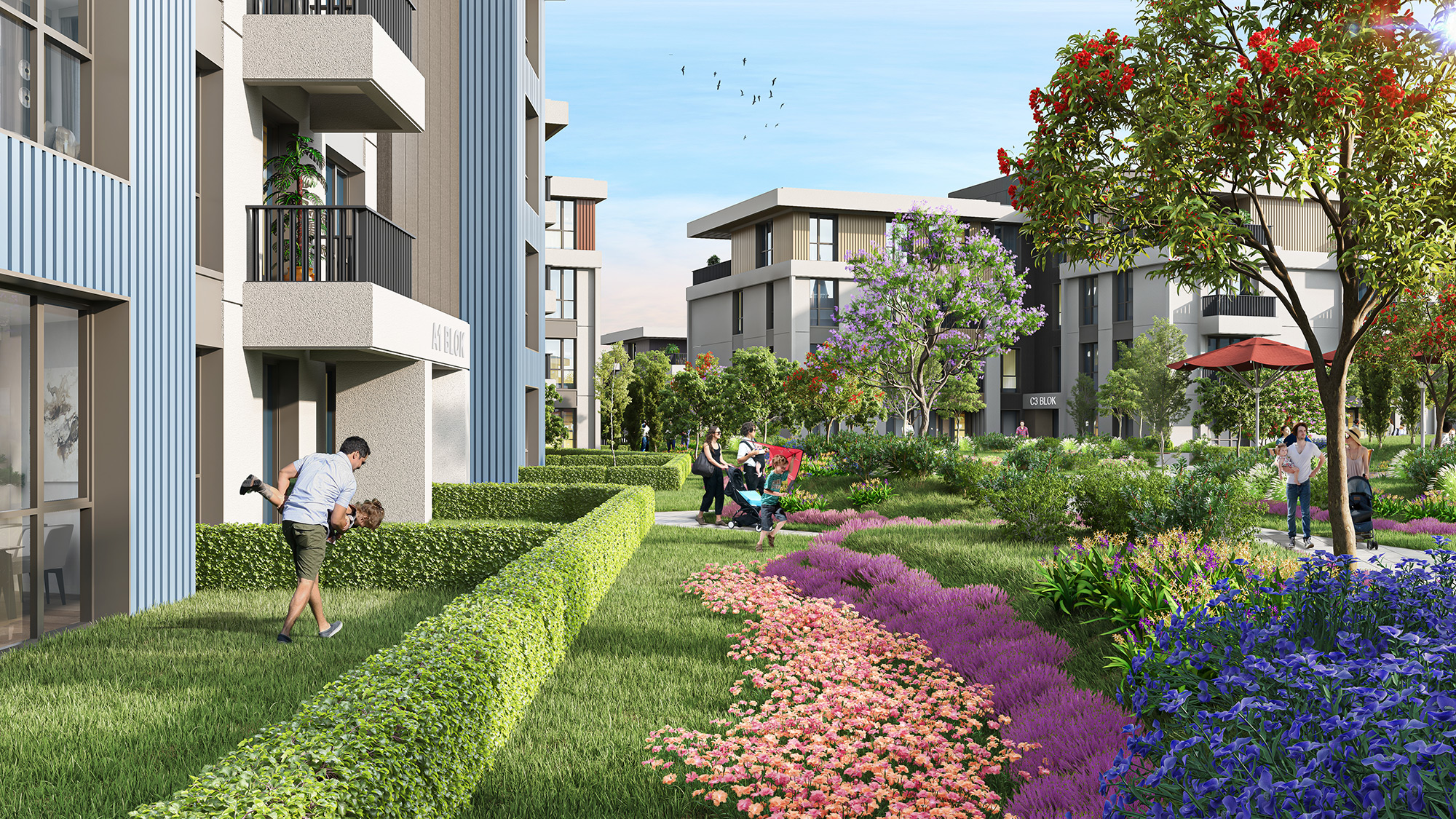 Project image 12