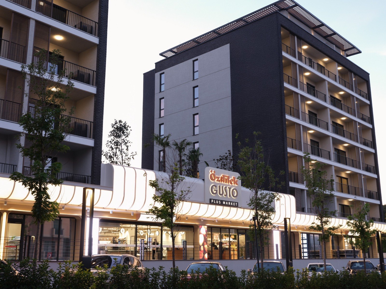 Project image 11