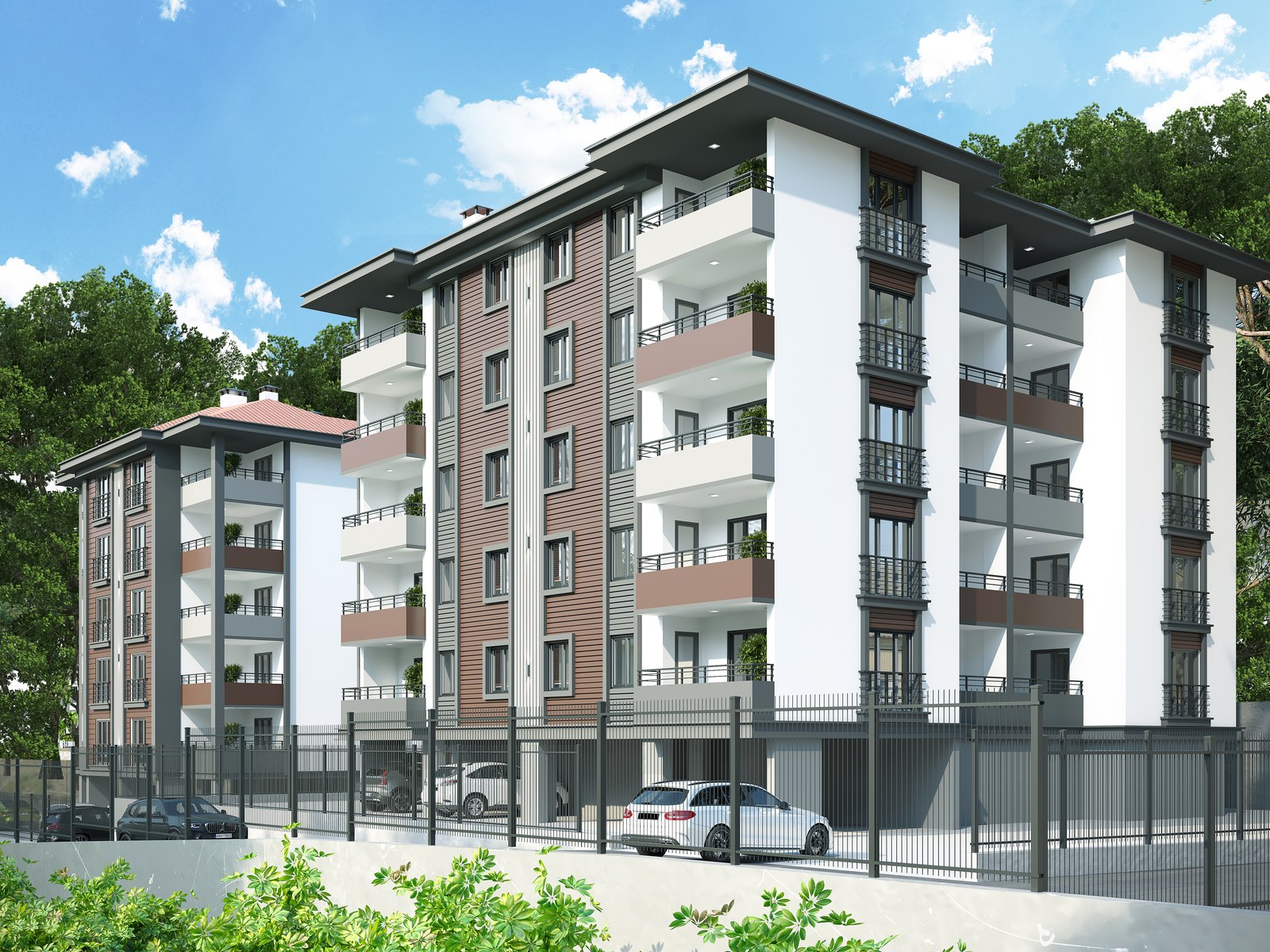 Project image 6