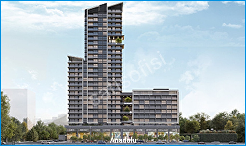 Project image 6