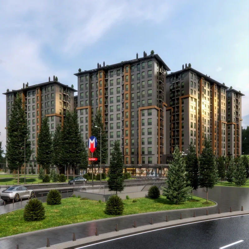 Project image 10