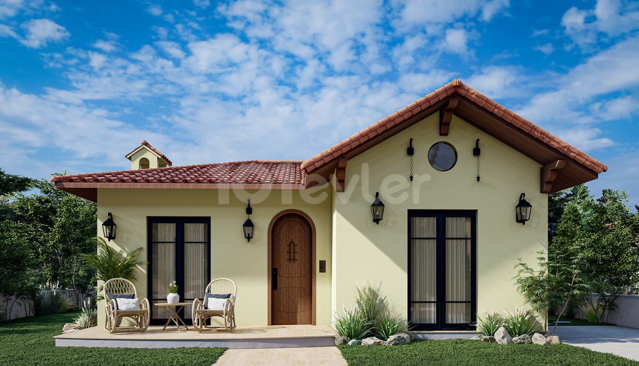 Project image 3