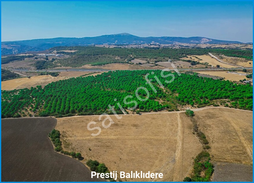 Prestij Balıklıdere