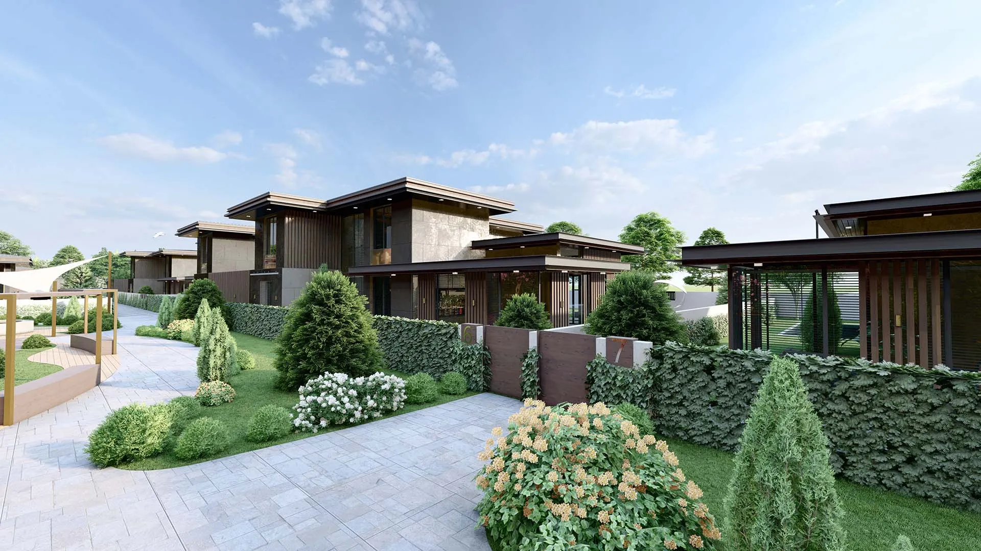 Project image 13