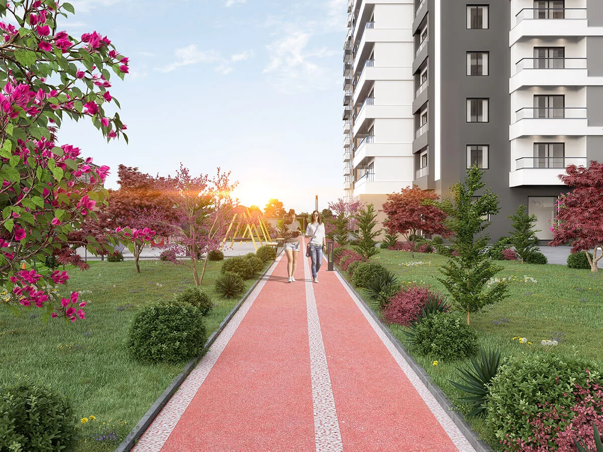 Project image 12