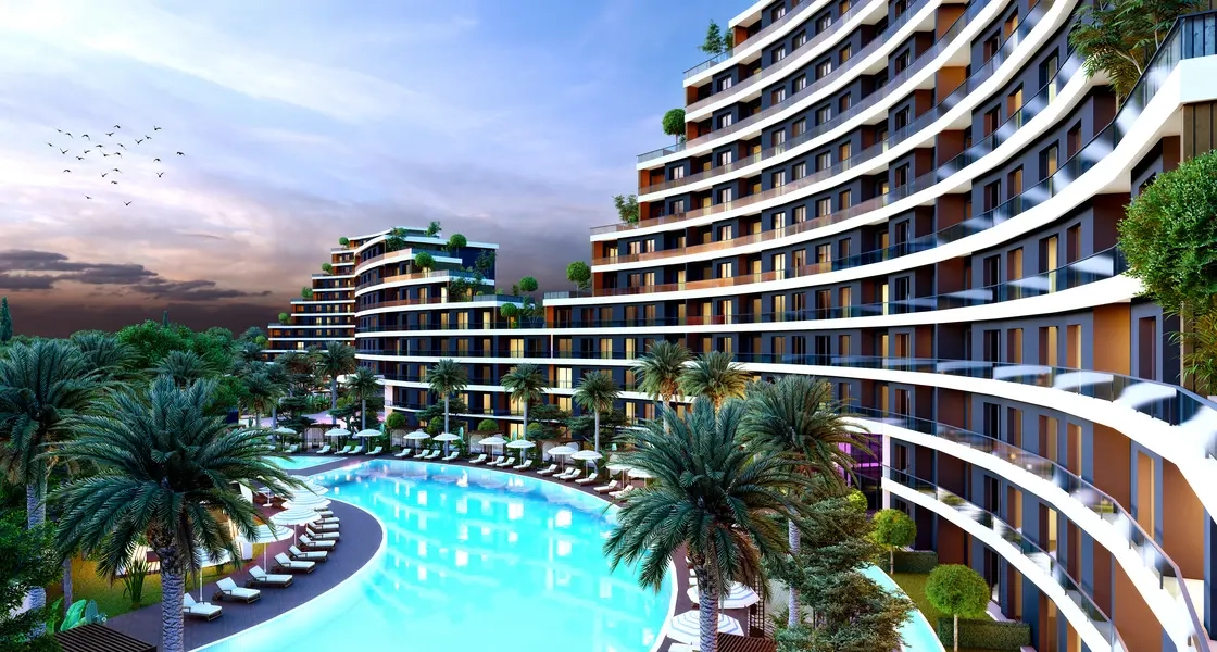 Project image 11