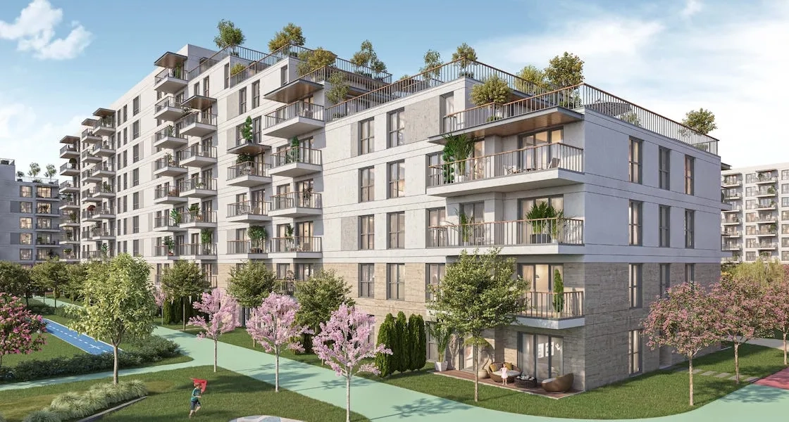 Project image 10