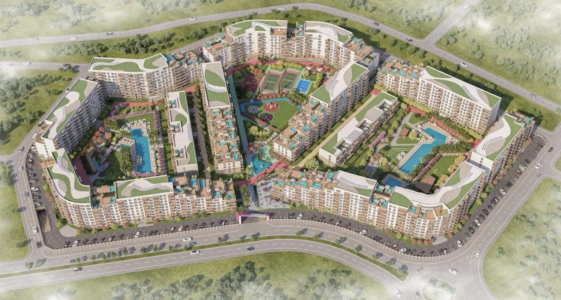 Project image 13