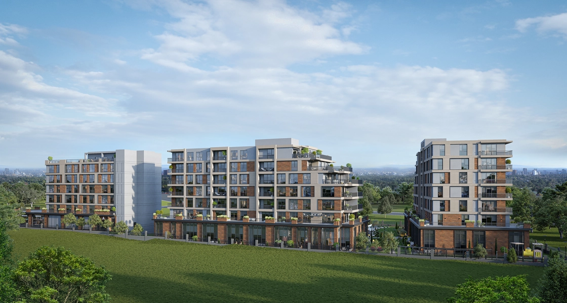 Project image 10