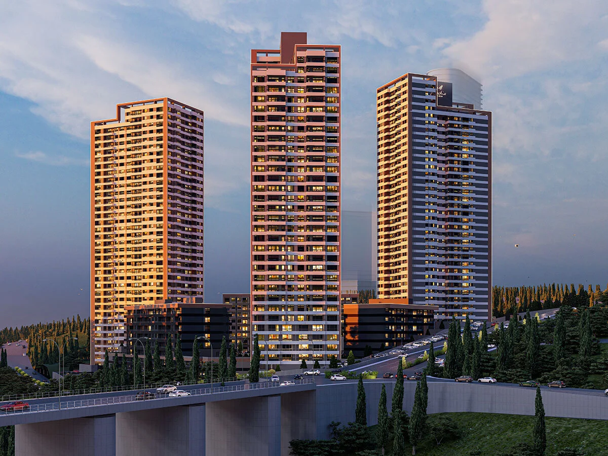 Project image 13