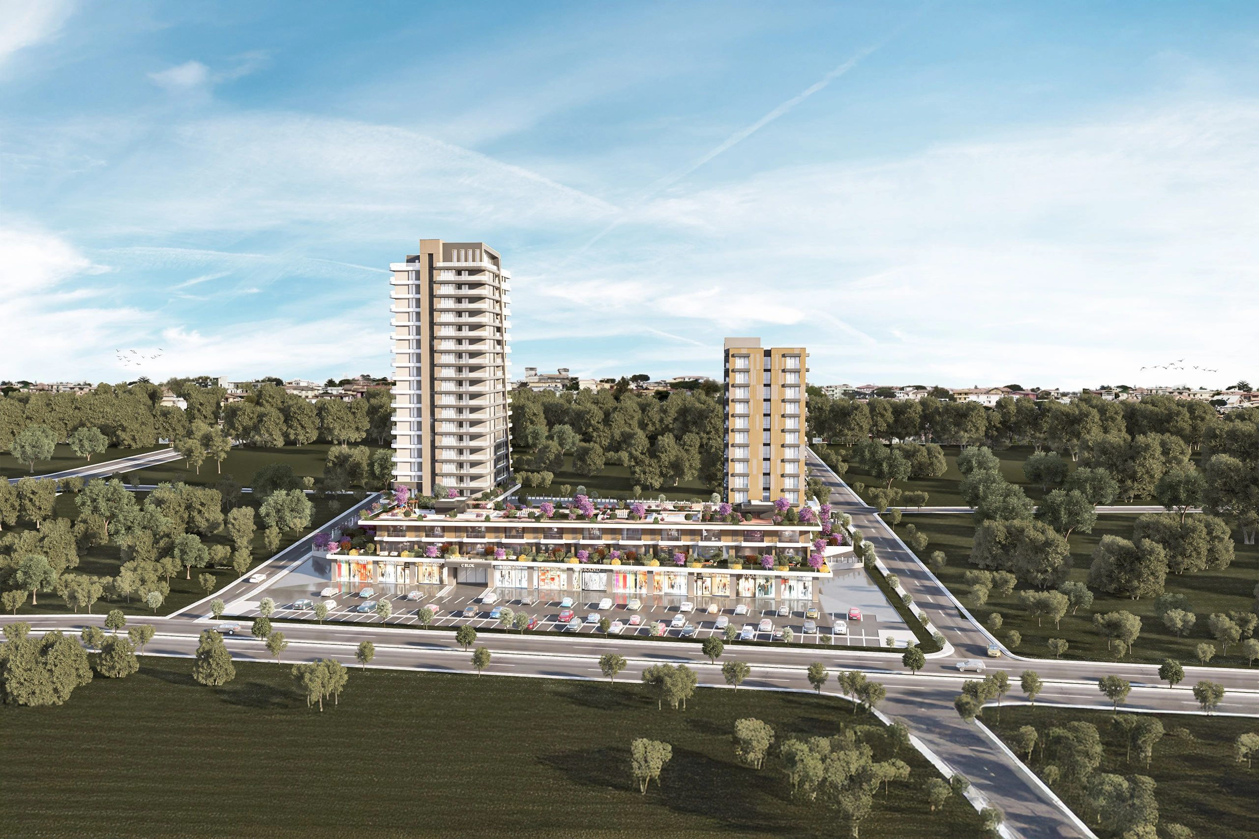Project image 9