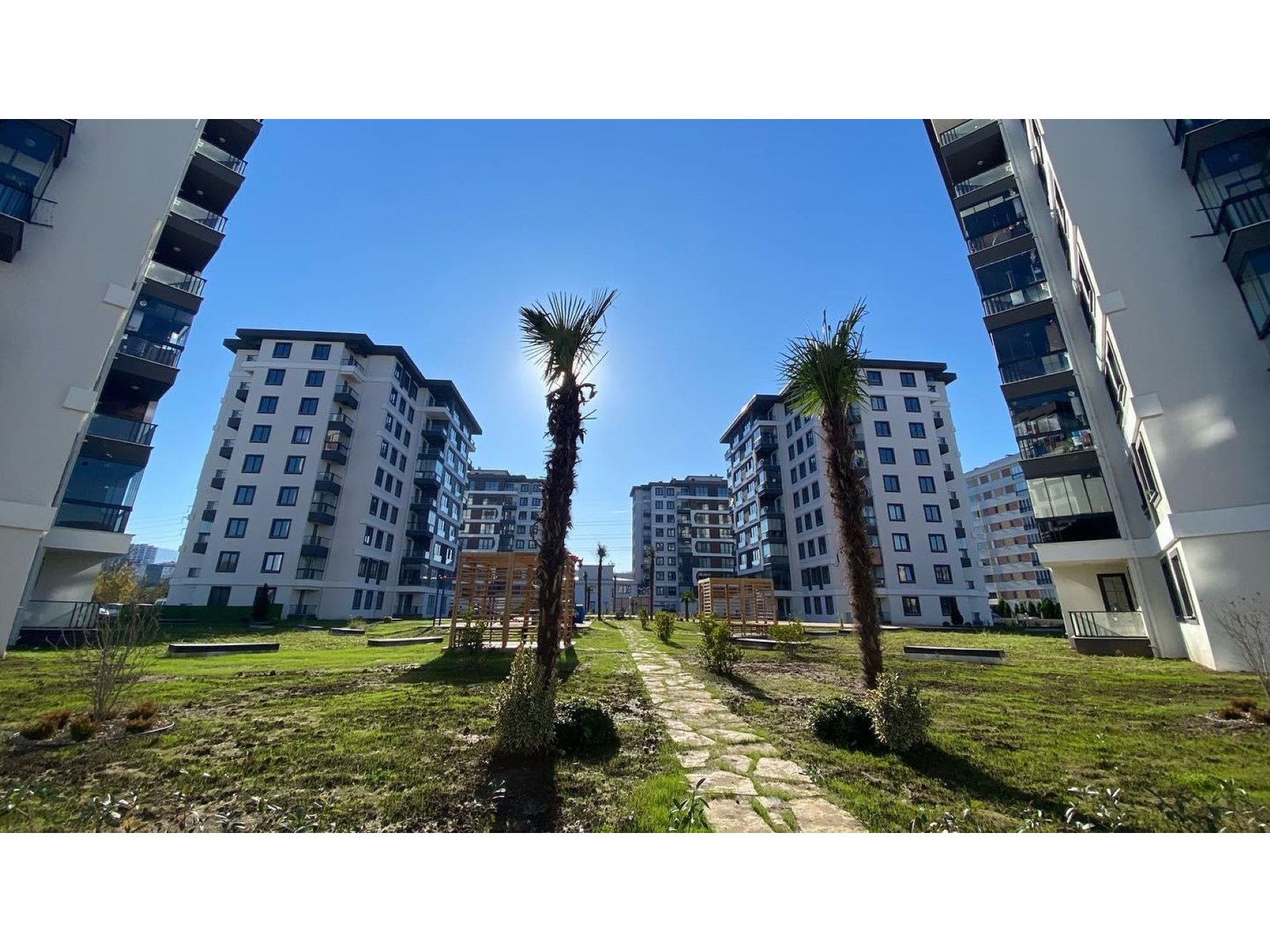 Project image 6