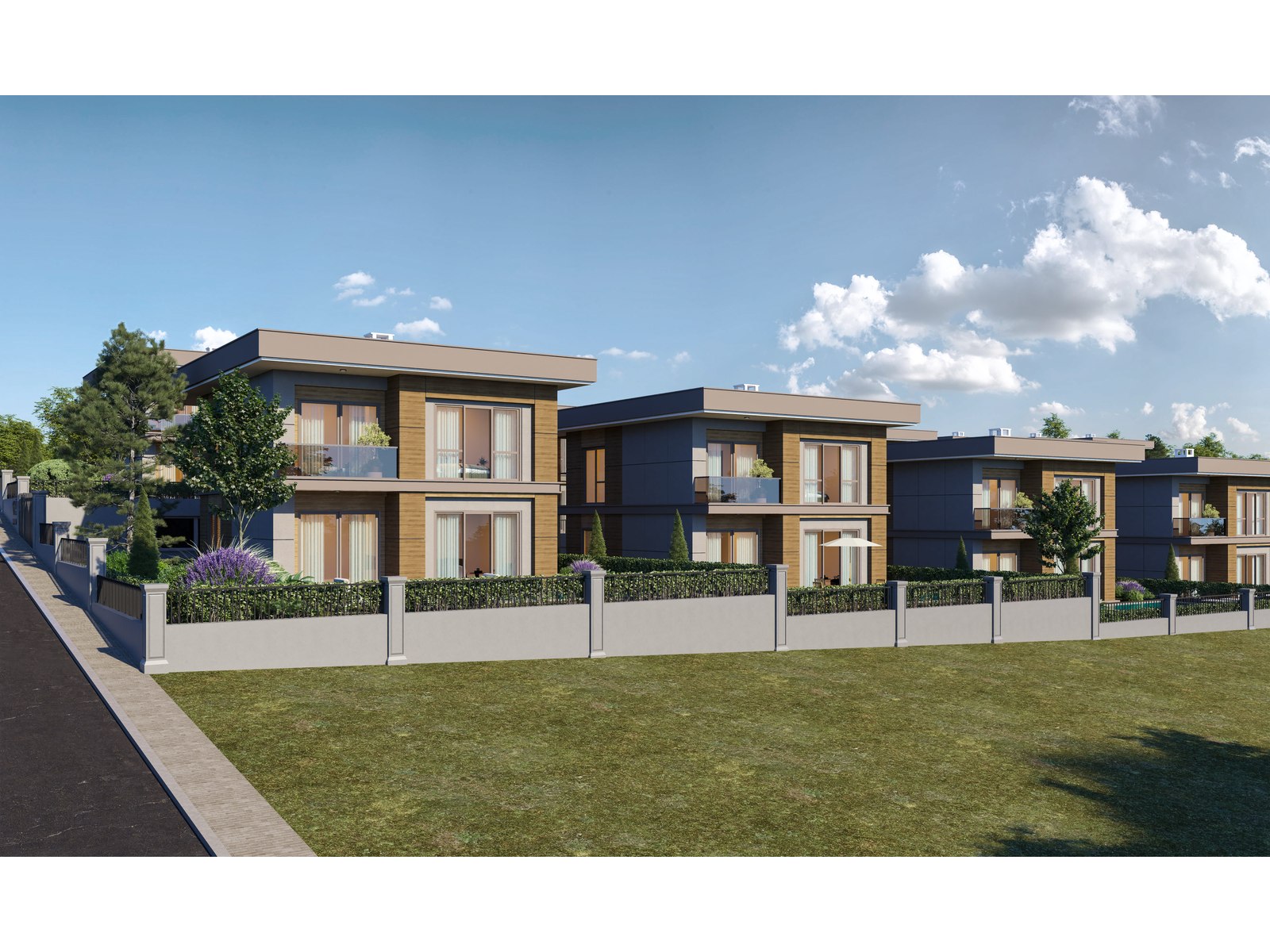 Project image 8