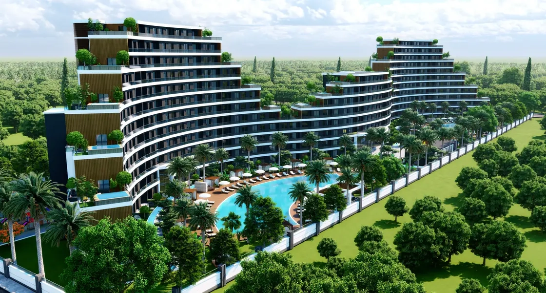 Project image 15