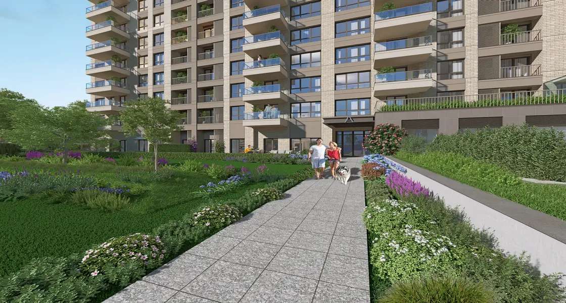 Project image 14