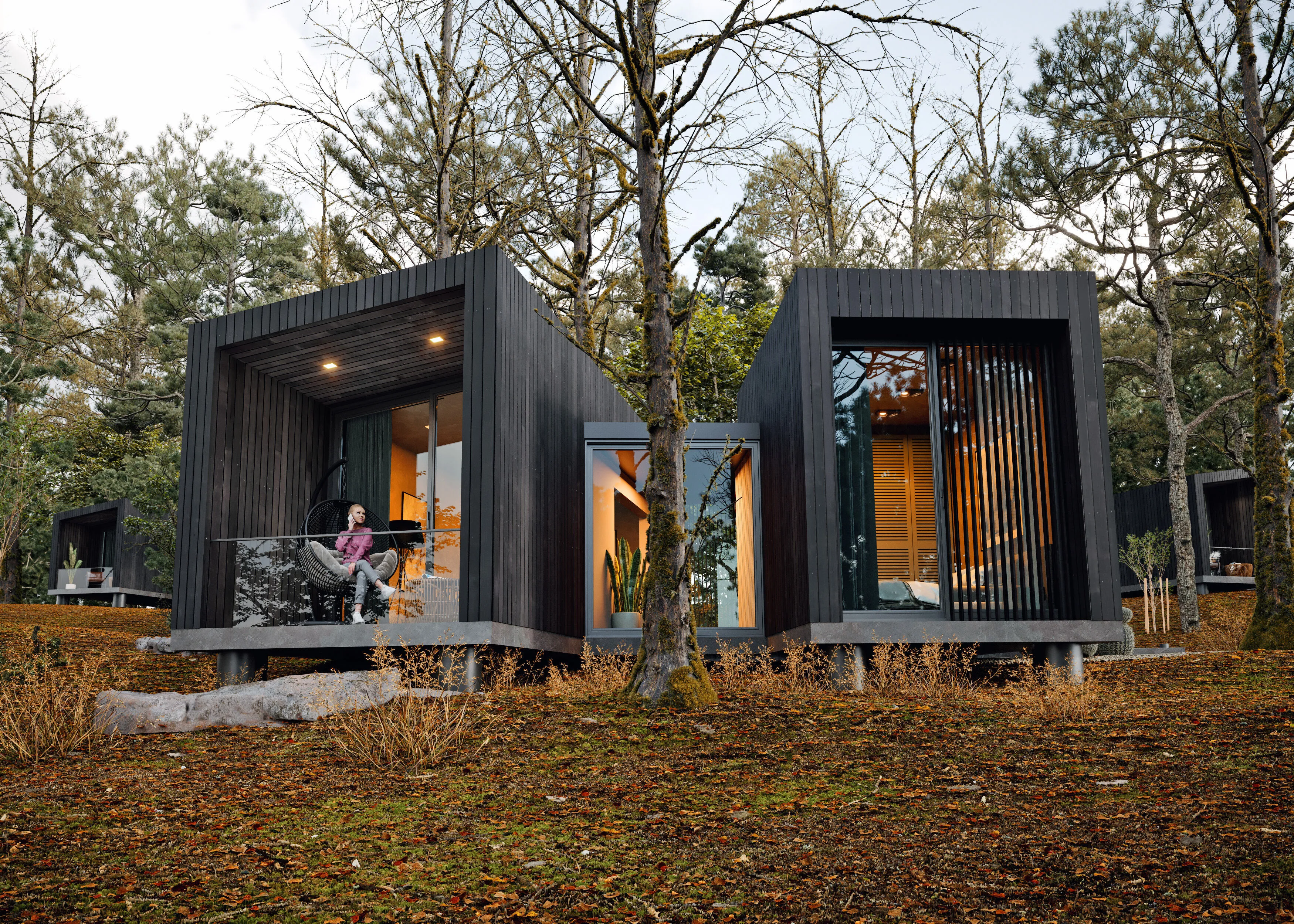 Project image 10