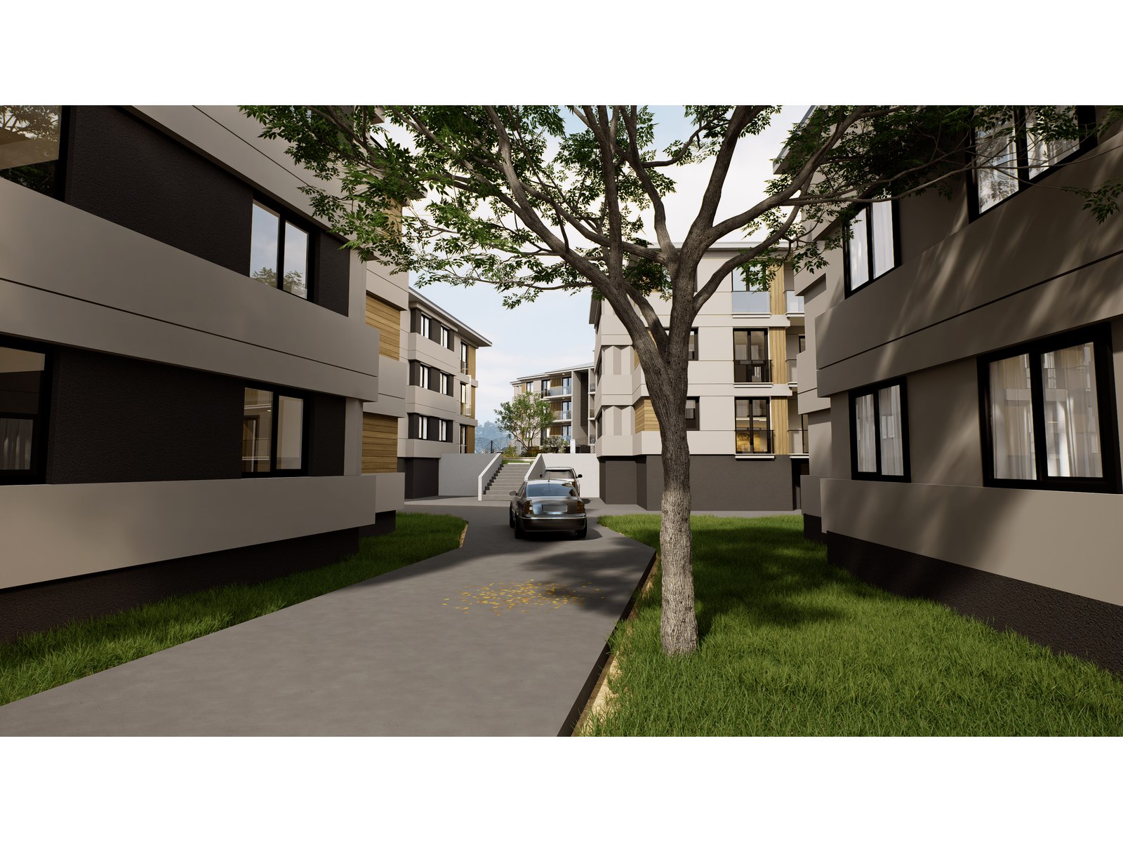 Project image 3