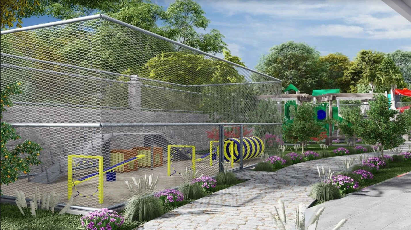 Project image 11