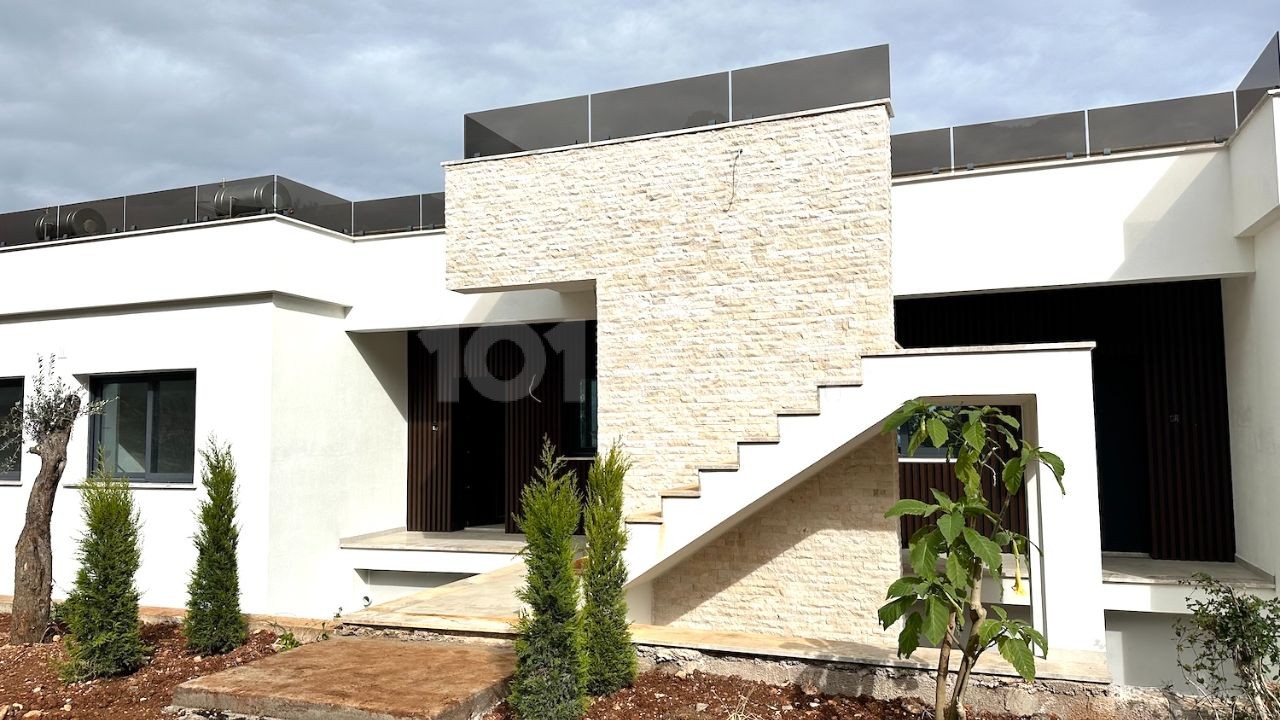 Project image 4