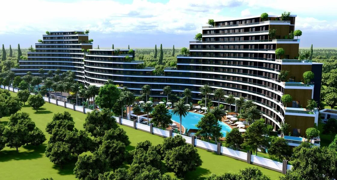 Project image 16