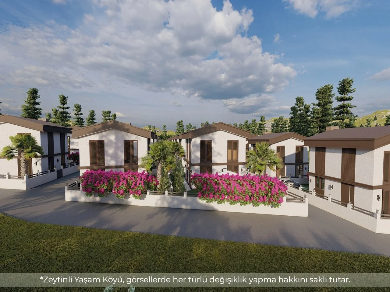 Zeytinli Yaşam Köyü